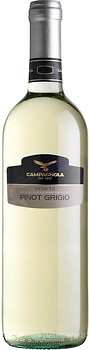 Фото Campagnola Pinot Grigio Veneto белое сухое 0.75 л