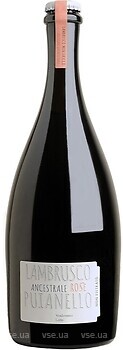 Фото Cantina Puianello Lambrusco Ancestrale Dell'Emilia Rose розовое сухое 0.75 л