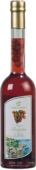 Фото Terra di Limoni Liquore di Fragoline di Bosco 30% 0.5 л