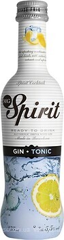 Фото MG Spirit Gin Tonic 5.5% 0.275 л