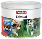 Фото Beaphar Salvikal 250 г