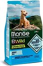Фото Monge Dog Bwild Grain Free Adult Mini Anchovies 15 кг