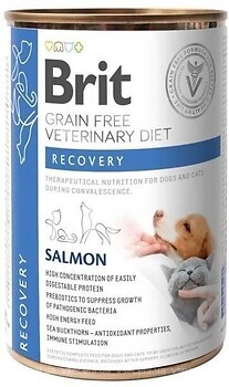 Фото Brit Grain Free Veterinary Diet Recovery Dog & Cat Salmon 400 г