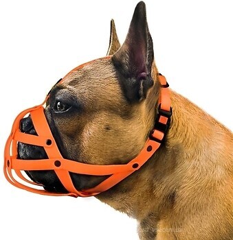 Фото BronzeDog 4915/T