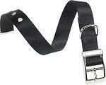 Фото Ferplast Классический Club CF25/45 37-45 см / 25 мм black (75266917)