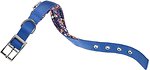 Фото Ferplast Классический Daytona Fantasy C25/53 45-53 см / 25 мм blue (75232602)