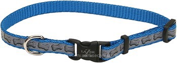 Фото Coastal Классический Lazer Brite Reflective 30-45 см / 16 мм turquoise bones (46441_TQB18)