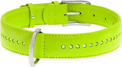 Фото Collar Классический Waudog Glamour 27-36 см / 15 мм салатовый (38745)