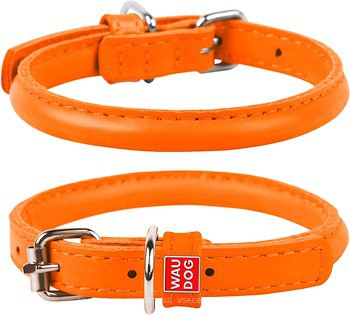 Фото Collar Классический Waudog Glamour 25-33 см / 8 мм оранжевый (22414)