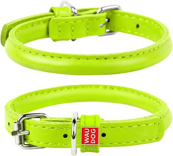 Фото Collar Классический Waudog Glamour 25-33 см / 8 мм салатовый (22415)