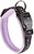 Фото Ferplast Классический Sport C25/45 35-45 см / 25 мм lilac (78004019)