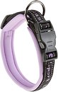 Фото Ferplast Классический Sport Dog C15/35 25-35 см / 15 мм lilac (78003819)