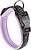 Фото Ferplast Классический Sport Dog C15/35 25-35 см / 15 мм lilac (78003819)