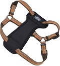 Фото Coastal Шлея K9 Explorer 50-75 см / 25 мм campfire orange (36945_COG30)