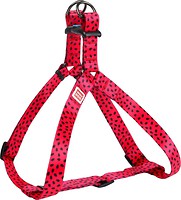 Фото Collar Шлея Waudog Nylon 50-80 см / 20 мм (5050)