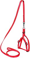 Фото Collar Шлея с поводком Dog Extreme 40-55 см / 15 мм красный (07033)