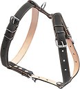 Фото Collar Шлея 40-64 см / 69-81 см / 25 мм черный (06421)