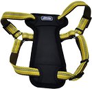 Фото Coastal Шлея K9 Explorer 30-45 см / 16 мм goldencord (36445_GLR18)