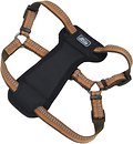 Фото Coastal Шлея K9 Explorer 65-95 см / 25 мм campfire orange (36946_COG38)