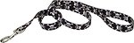 Фото Coastal Поводок классический Style 1.2 м / 25 мм black skulls (00964_SKZ04)