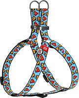 Фото Collar Шлея Waudog Nylon 40-55 см / 15 мм голубой (0715-2005)