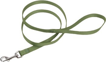 Фото Coastal Поводок классический Training Lead 1.8 м / 15 мм green (00406_PGR06)