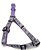 Фото Coastal Шлея Lazer 66-97 см / 25 мм purple paws bones (46955_PPP38)
