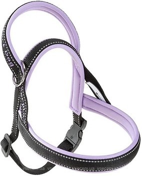 Фото Ferplast Шлея Sport Dog S 48 см / 58-71 см lillac (78004619)