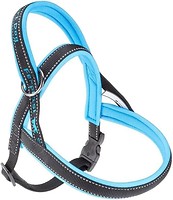 Фото Ferplast Шлея Sport Dog M 58 см / 69-86 см blue (78004725)