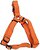 Фото Coastal Шлея New Earth 30-45 см / 10 мм orange (14345_PMK18)