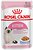 Фото Royal Canin Kitten Jelly 12x85 г