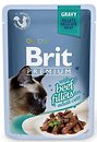 Фото Brit Premium Cat Pouch Beef Fillets in Gravy 85 г