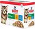 Фото Hill's Science Plan Kitten with Chicken & Ocean Fish 12x85 г