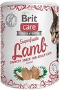 Фото Brit Care Superfruits Lamb 100 г