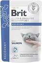 Фото Brit Veterinary Diet Cat Recovery 85 г