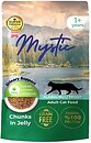 Фото Mystic Cat Food Chunks in Jelly With Trout 85 г