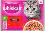 Фото Whiskas Консервированный корм 1+ с говядиной и курицей в соусе 4x85 г