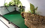 Фото Komodo коврик-субстрат Reptile Carpet 60x50 см (83028)