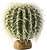 Фото Hagen Exo Terra Barrel Cactus (PT2985)