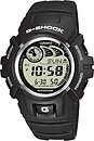 Фото Casio G-Shock Classic G-2900F-8VER